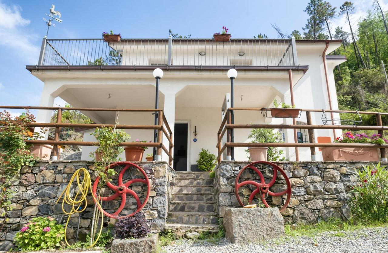 Emily Holiday home *